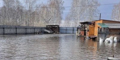 Правоохранители опровергли массовые хищения имущества в подтопленных районах Томской и Курганской областей